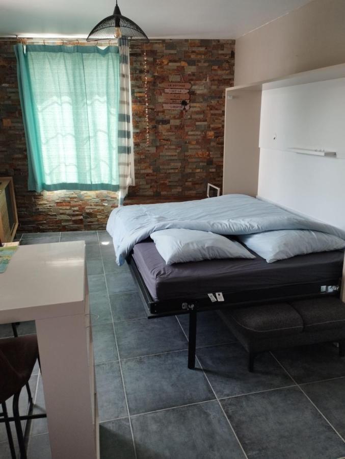 Studio Vue Sur Le Port Saint Goustan Classe 3 Etoiles! Оре Екстер'єр фото